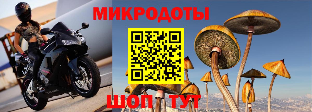 Новоалександровск  что такое   Вход с VPN  Псилоцибиновые грибы ЛСД 