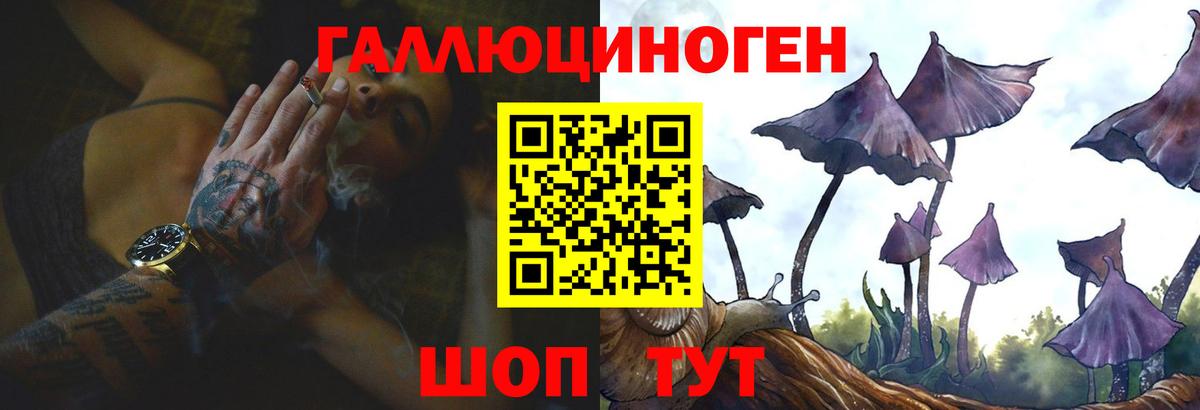Псилоцибиновые грибы ЛСД Новоалександровск